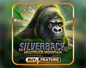 Silverback: Multiplier Mountain